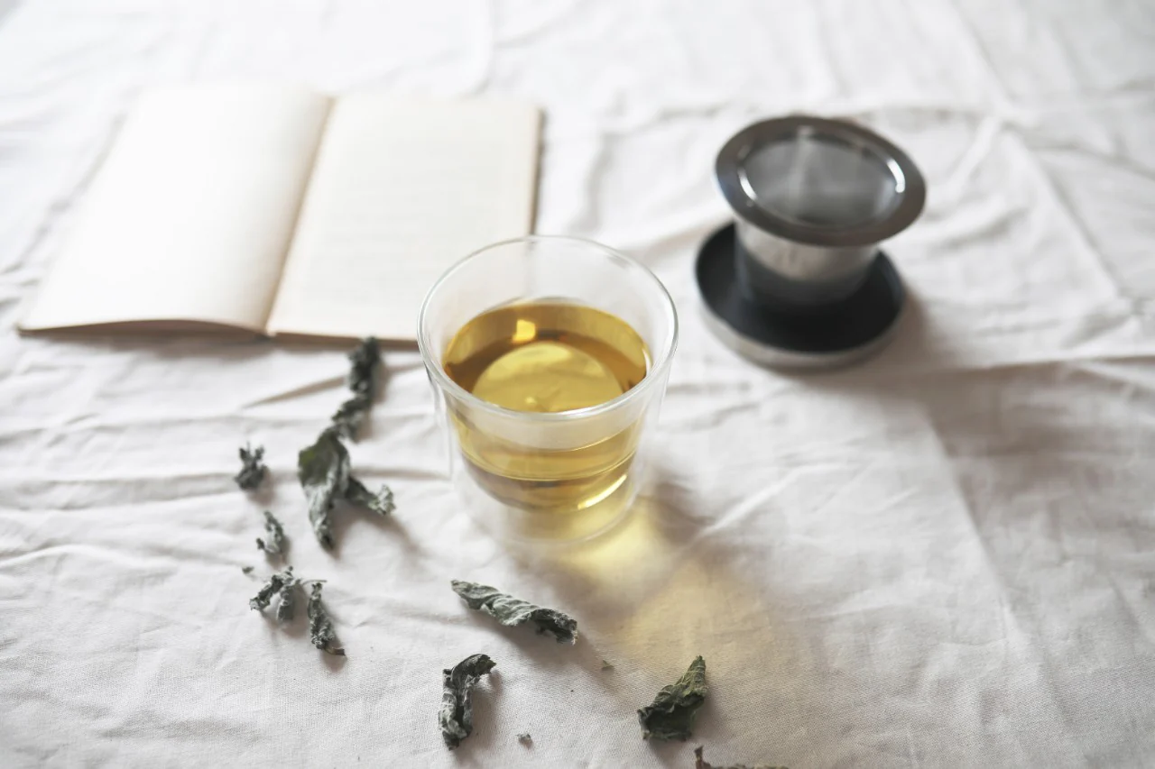 LEAVES TO TEA Cup with Strainer 260ml - Image 10