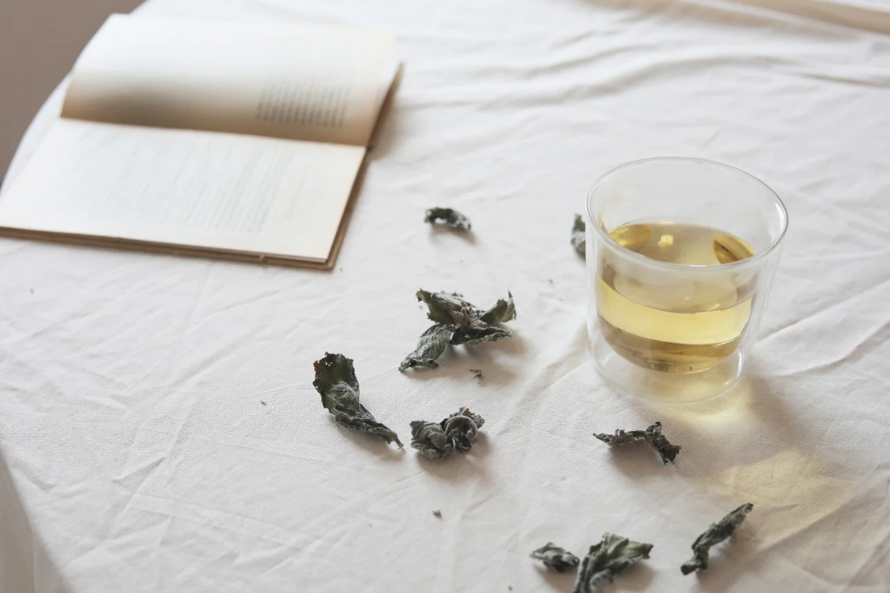 LEAVES TO TEA Tea Bag Cup 260ml - Image 7